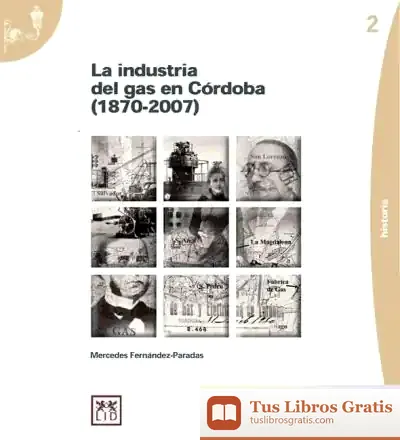 Descargar La Industria Del Gas En Córdoba (1870-2007) de Juan Luis Posadas Sánchez