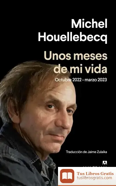 Descargar Unos Meses De Mi Vida