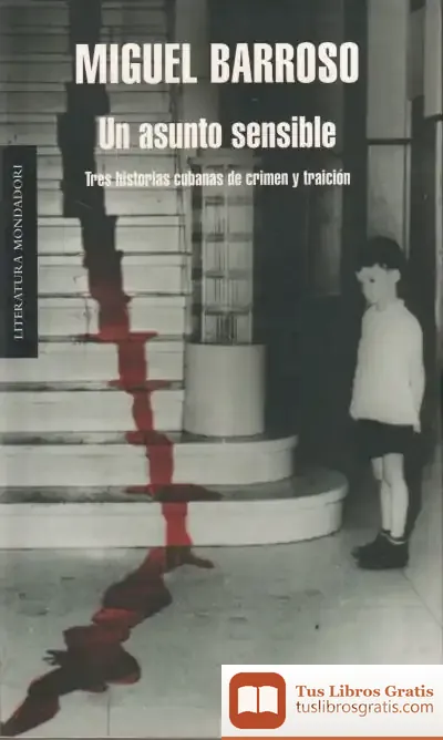 Descargar Un Asunto Sensible