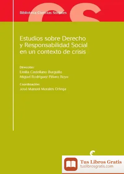 Descargar Estudios Sobre Derecho Y Responsabilidad Social En Un Contexto De Crisis de José Quintanal Díaz