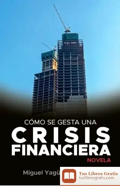 Descargar Cómo Se Gesta Una Crisis Financiera