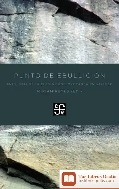 Descargar Punto De Ebullición de Miriam Reyes