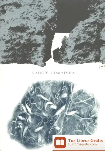 Descargar Narcís Comadira