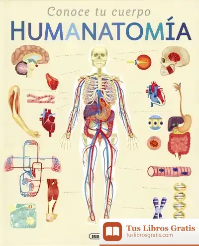 Descargar Humanatomia