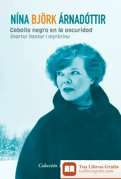 Descargar Caballo Negro En La Oscuridad de Nína Björk Árnadóttir