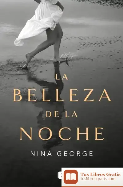 Descargar La Belleza De La Noche de Nina George