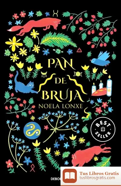 Descargar Pan De Bruja de Noela Lonxe