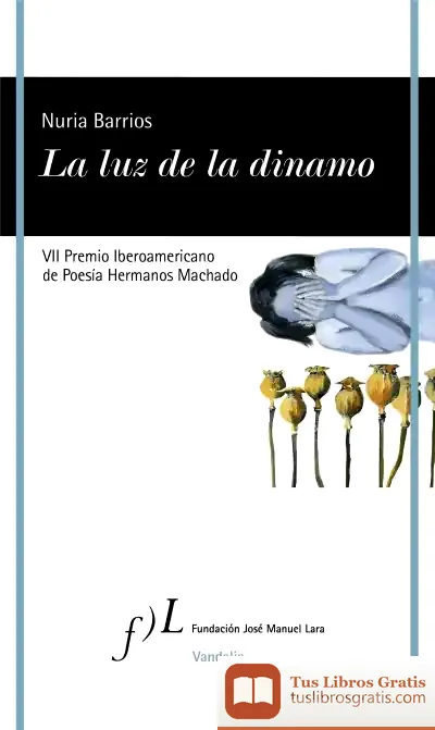 Descargar La Luz De La Dinamo