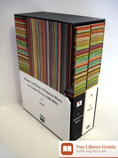 Descargar Premios De Poesía Y Narración Breve Del Consejo Social (1989-2007) de Boris Cimorra