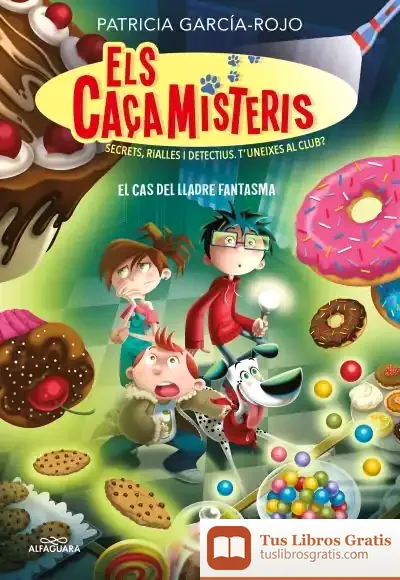 Descargar Els Caçamisteris 2. El Cas Del Lladre Fantasma (Els Caçamisteris 2)