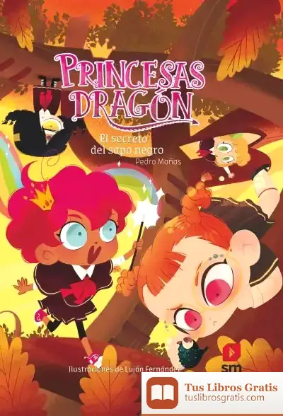 Descargar Princesas Dragón 7 El Secreto Del Sapo Negro de Pedro Mañas Romero