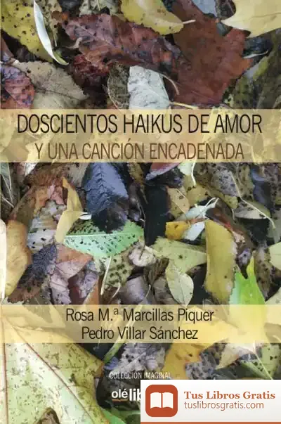 Descargar Doscientos Haikus De Amor Y Una Canción Encadenada