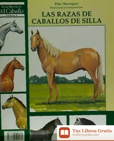 Descargar Las Razas De Caballo De Silla