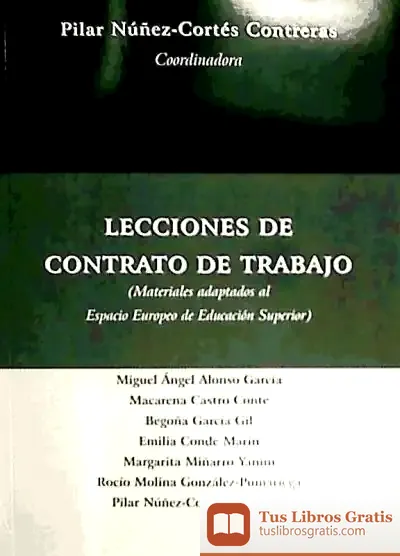 Descargar Lecciones De Contrato De Trabajo