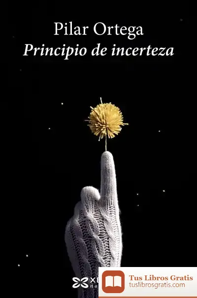 Descargar Principio De Incerteza