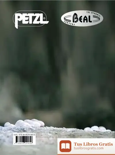 Descargar Seguridad Y Riesgo En Roca Y Hielo. Vol. Ii Análisis Y Prevención De Accidentes En Montaña