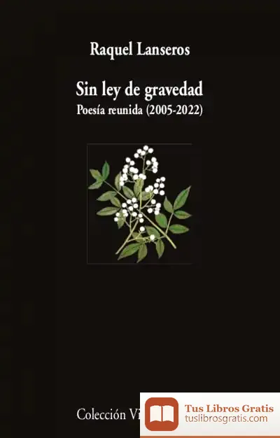 Descargar Sin Ley De Gravedad de Raquel Lanseros