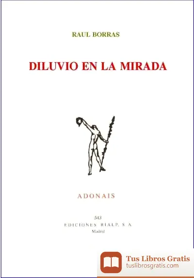 Descargar Diluvio En La Mirada de Enrique Díaz y Langa