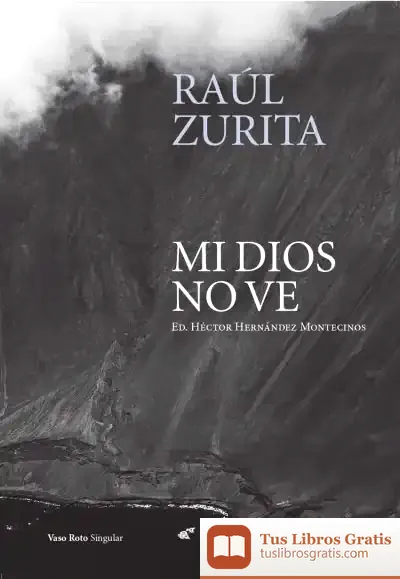 Descargar Mi Dios No Ve de Raúl Zurita