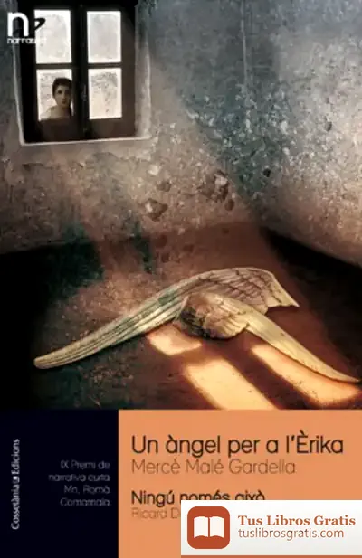 Descargar Un Àngel Per A L'Erika I Ningú Només Això