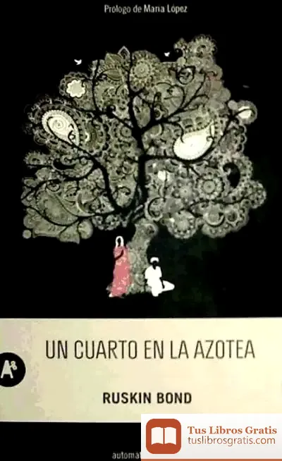 Descargar Un Cuarto En La Azotea