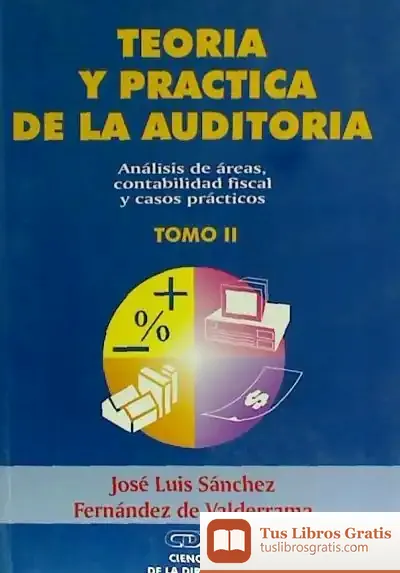 Descargar Teoria Y Practica Auditoria 2