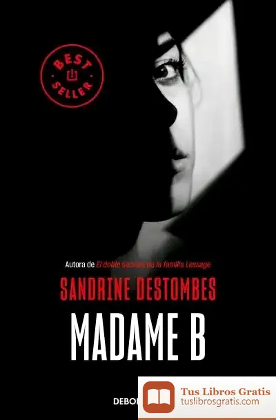 Descargar Madame B de Sandrine Destombes