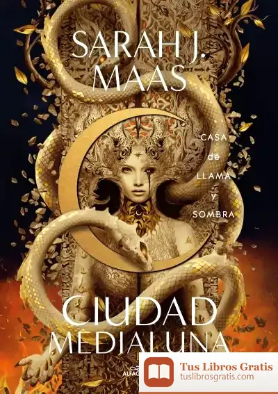 Descargar Casa De Llama Y Sombra (Ciudad Medialuna 3) de Sarah J. Maas