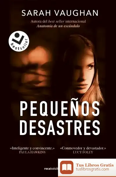 Descargar Pequeños Desastres