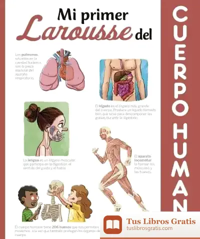 Descargar Mi Primer Larousse Del Cuerpo Humano de Saúl M. Irigaray