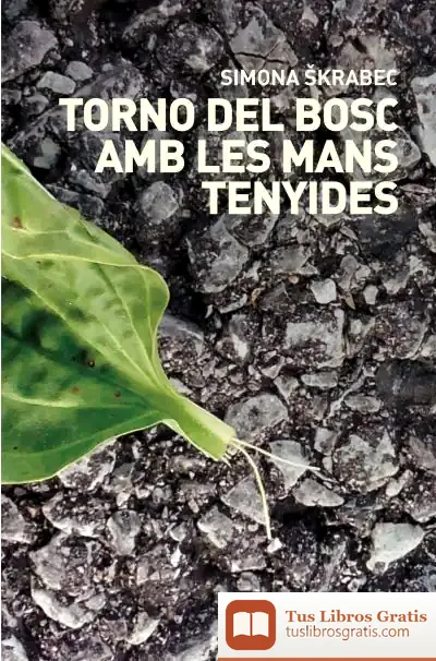 Descargar Torno Del Bosc Amb Les Manys Tenyides