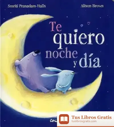 Descargar Te Quiero Noche Y Dia-Cartón de Smriti Prasadam-halls