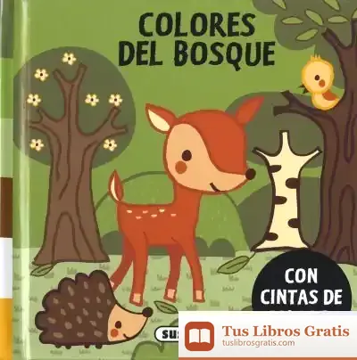 Descargar Cintas De Colores. Colores Del Bosque