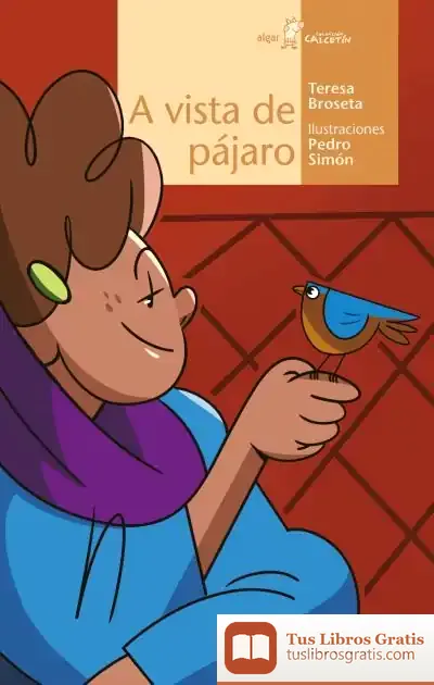 Descargar A Vista De Pájaro de Teresa Broseta