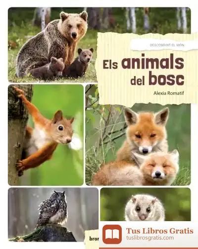 Descargar Els Animals Del Bosc de Teresa Broseta