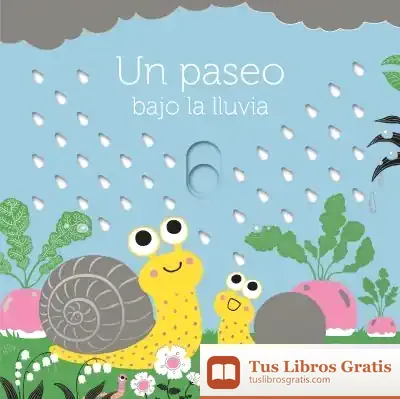 Descargar Un Paseo Bajo La Lluvia de Teresa Tellechea