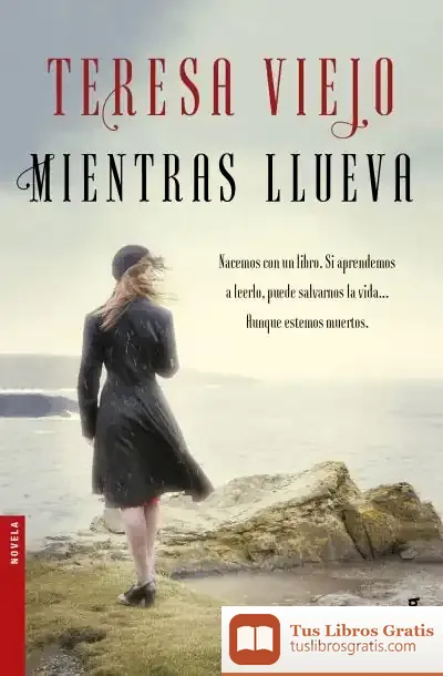 Descargar Mientras Llueva de Teresa Viejo