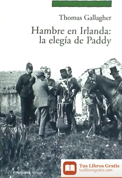 Descargar Hambre En Irlanda : La Elegía De Paddy de Jonathan Friedman
