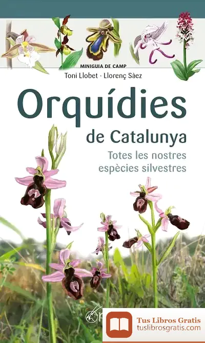 Descargar Orquídies De Catalunya