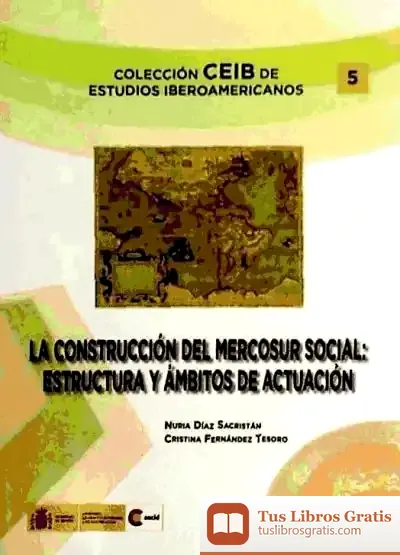 Descargar La Construcción Del Mercosur Social. Estructura Y Ámbitos De Actuación de Miguel Ballenilla y García de Gamarra