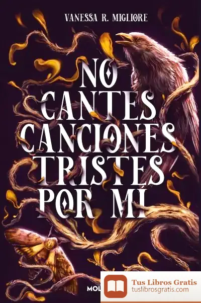 Descargar No Cantes Canciones Tristes Por Mí de Vanessa R. Migliore