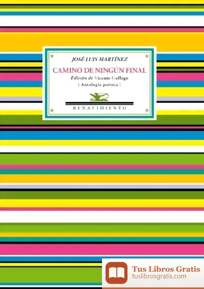 Descargar Camino De Ningún Final de Vicente Gallego