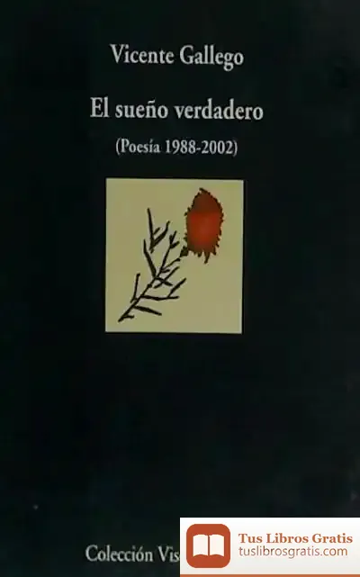Descargar El Sueño Verdadero