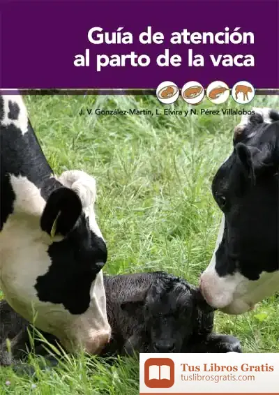 Descargar Guía De Atención Al Parto De La Vaca