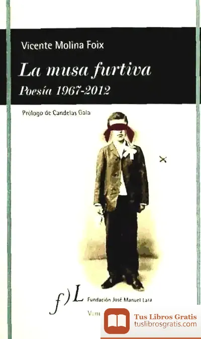 Descargar La Musa Furtiva : Poesía, 1967-2012