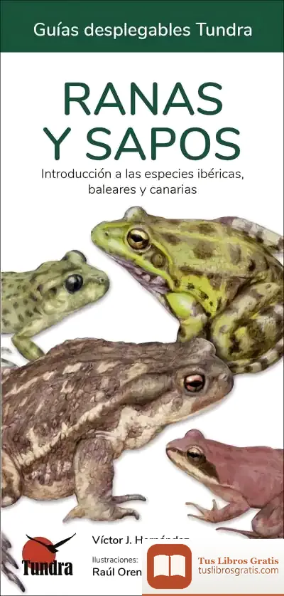 Descargar Ranas Y Sapos. Guias Desplegables Tundra de Victor J. Hernandez