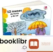 Descargar 12 Meses De Lluvia Y De Sol de Varios Autores