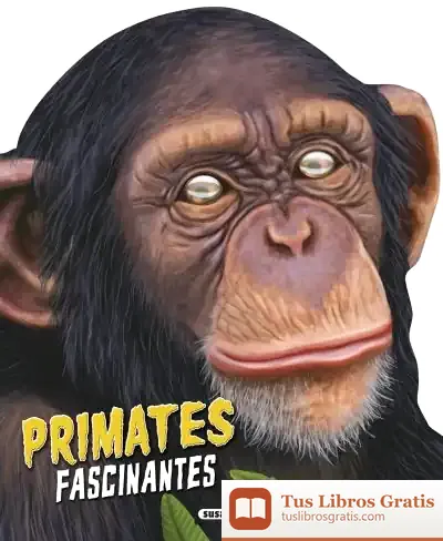 Descargar Cabeza De Animal. Primates Fascinantes