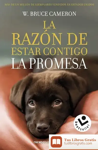 Descargar La Razón De Estar Contigo. La Promesa