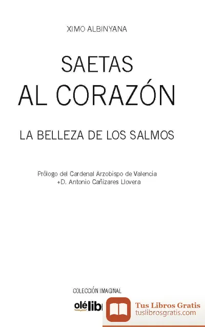 Descargar Saetas Al Corazón